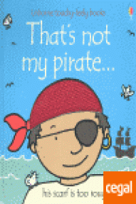 THATS NOT MY PIRATE