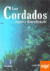 CORDADOS,  LOS - ORIGEN Y DIVERSIFICACION