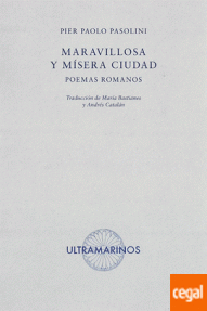 MARAVILLOSA Y MISERA CIUDAD - 17/RUSTICA